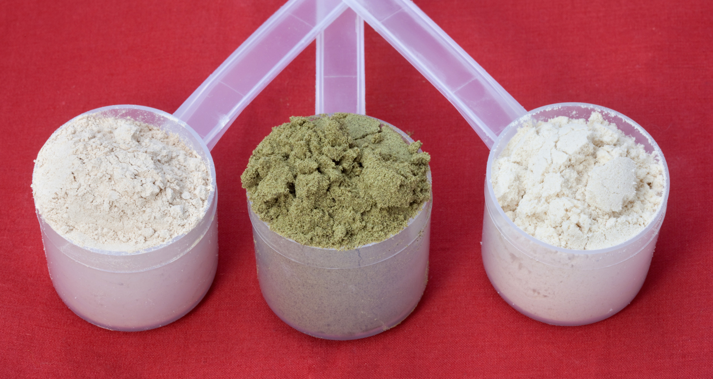 Photograph of brown rice protein powder, hemp protein powder and whey protein powder.